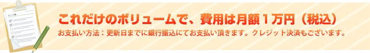 これだけのボリュームで費用は月額一万円